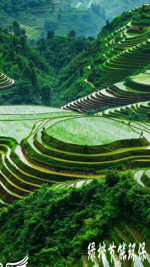 生態(tài)和環(huán)境規(guī)劃、可行性研究報(bào)告